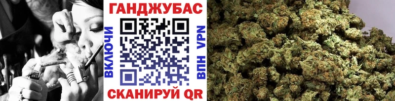 Где купить наркоту Бабаево Alpha-PVP  АМФЕТАМИН  Галлюциногенные грибы  COCAIN  Гашиш  Бошки Шишки 