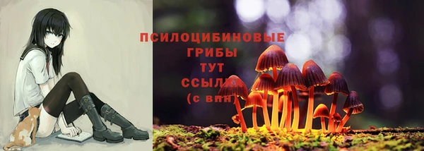 скорость Арсеньев