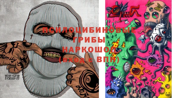 мдпв Армянск